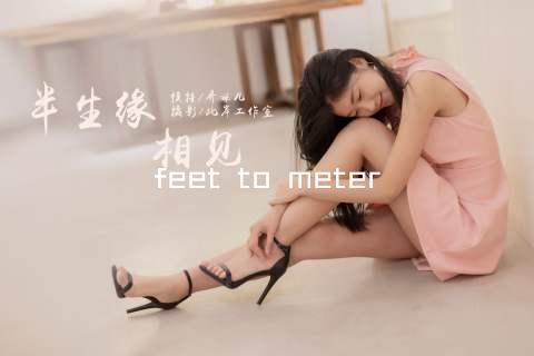 feet to meter